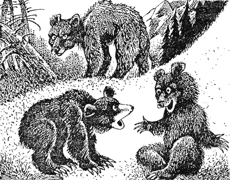 Медвежье озеро image02.png