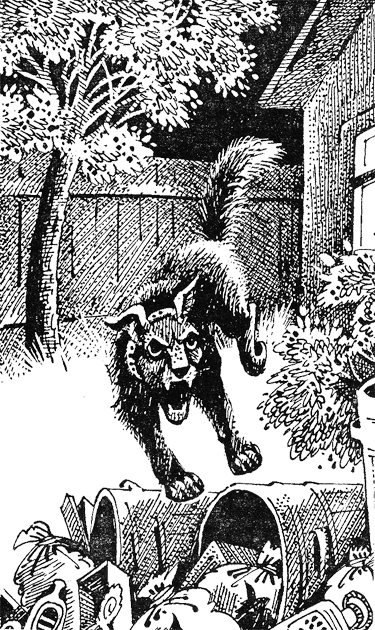 Медвежье озеро image06.png