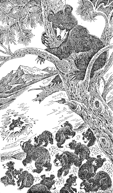 Медвежье озеро image08.png