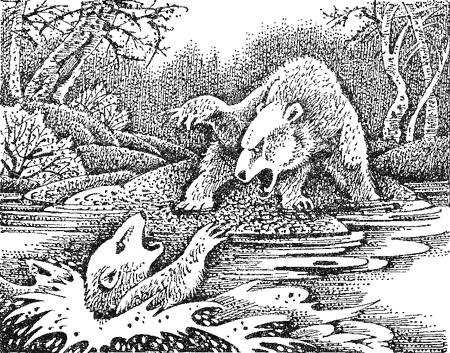 Медвежье озеро image13.png
