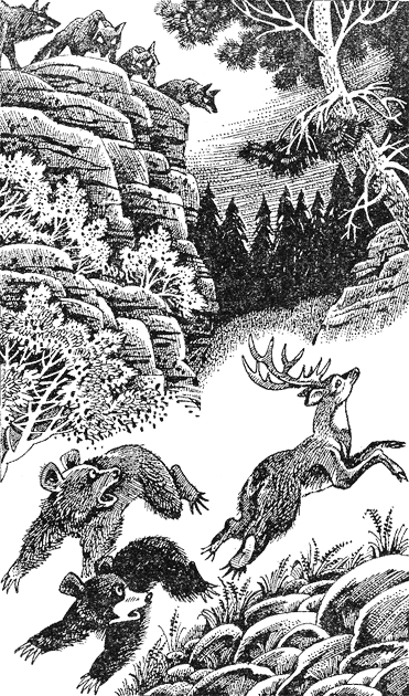 Медвежье озеро image03.png