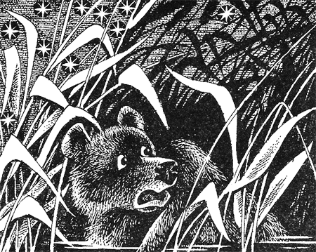 Дымная гора img15.png