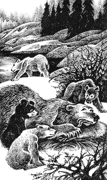 Дымная гора img03.png