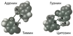 Десять великих идей науки. Как устроен наш мир. i_022.jpg