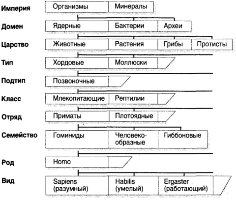 Десять великих идей науки. Как устроен наш мир. i_002.png