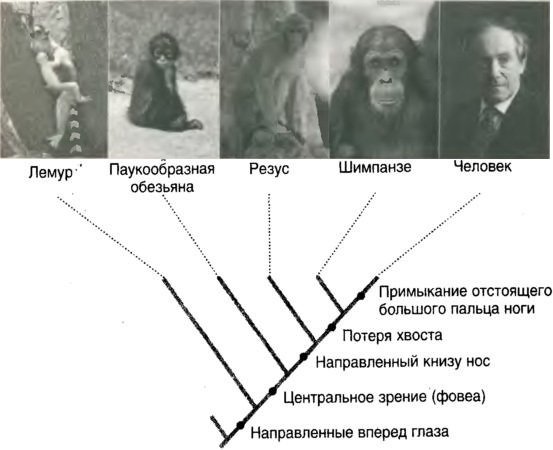 Десять великих идей науки. Как устроен наш мир. i_003.jpg