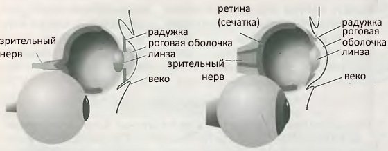 Десять великих идей науки. Как устроен наш мир. i_006.jpg