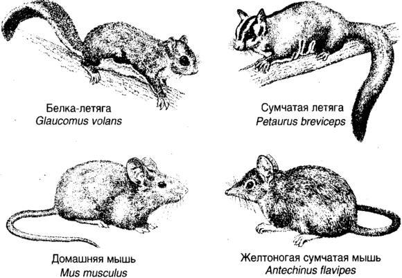Десять великих идей науки. Как устроен наш мир. i_008.jpg