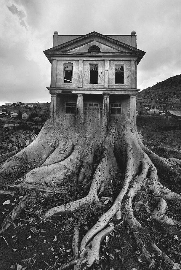 Salem's Lot 4.jpg