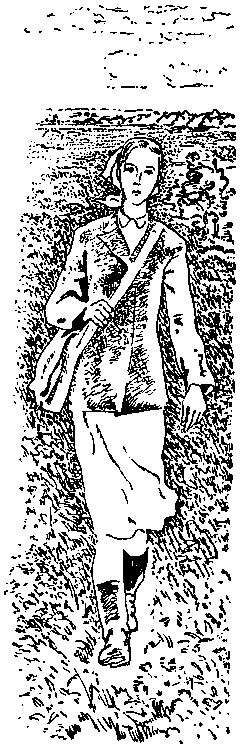 Небольшие повести (сборник) (с илл.) pic_24.png