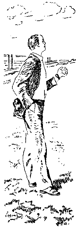 Небольшие повести (сборник) (с илл.) pic_29.png