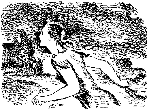 Небольшие повести (сборник) (с илл.) pic_32.png
