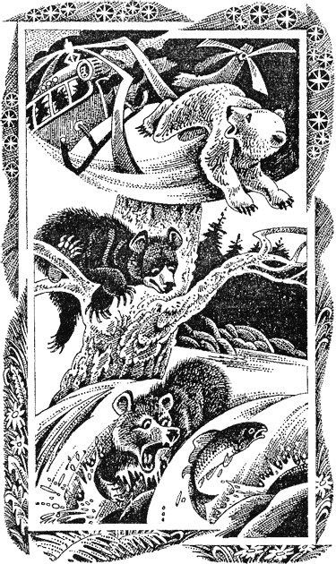 Первые испытания image01.png