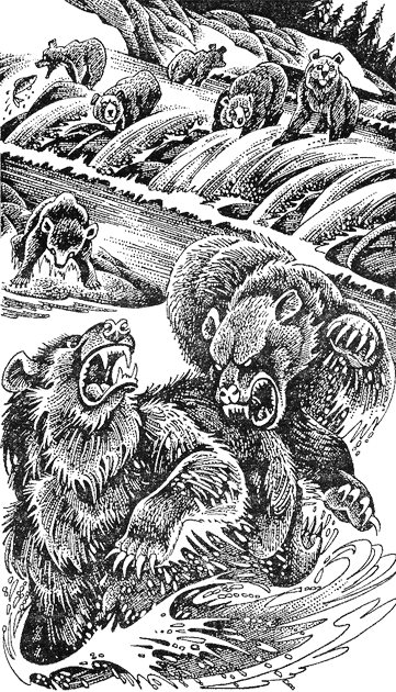 Первые испытания image05.png