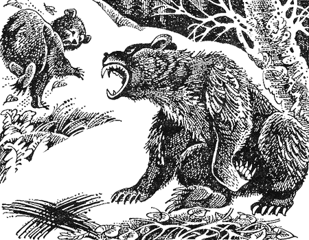 Первые испытания image06.png