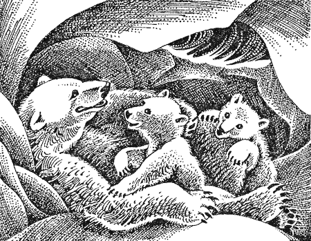 Первые испытания image02.png