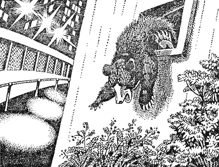 Первые испытания image07.png