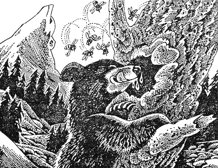 Первые испытания image09.png
