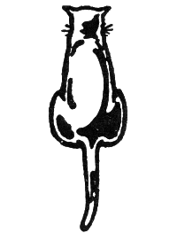 Гуляния с чеширским котом i_029.png