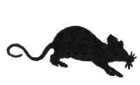 Гуляния с чеширским котом i_042.png