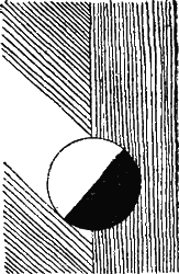 Занимательная физиология i_087.png