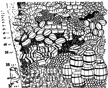 Занимательная физиология i_015.png