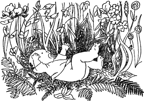 Занимательно о ботанике i_021.png