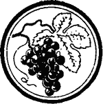Занимательно о ботанике i_073.png
