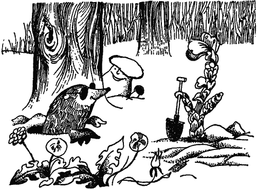 Занимательно о ботанике i_015.png