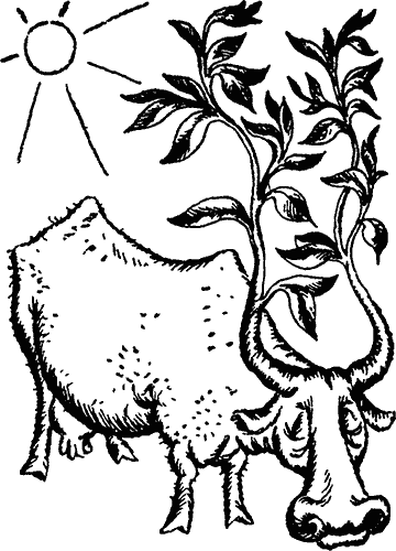 Занимательно о химии i_060.png
