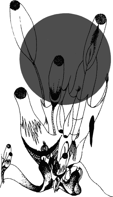 Занимательная биология i_001.png