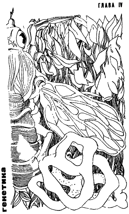 Занимательная биология i_023.png