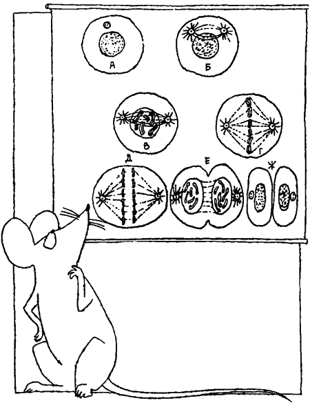 Занимательная биология i_027.png