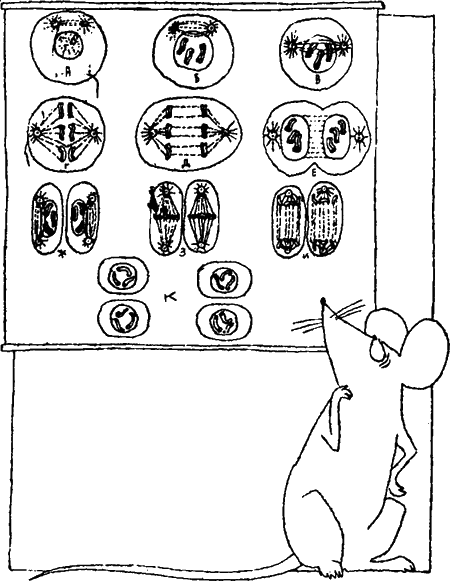 Занимательная биология i_028.png