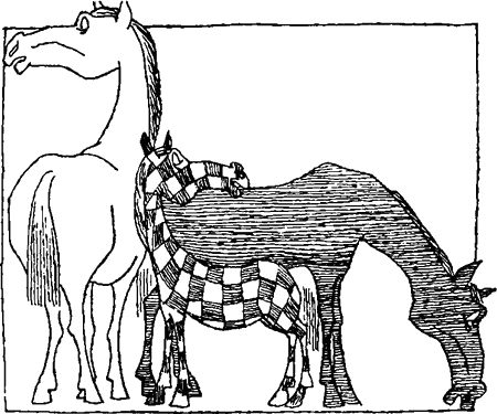 Занимательная биология i_032.png