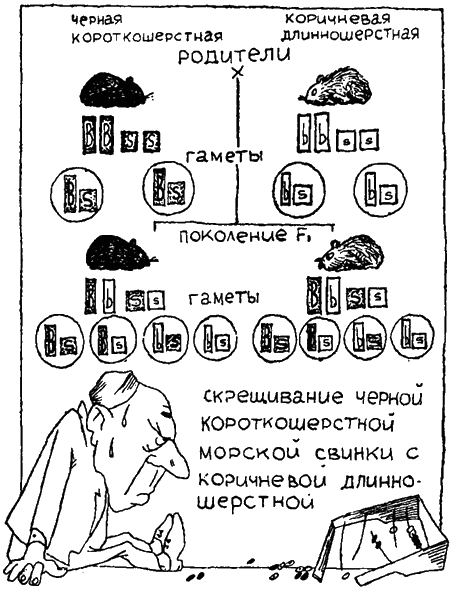 Занимательная биология i_034.png