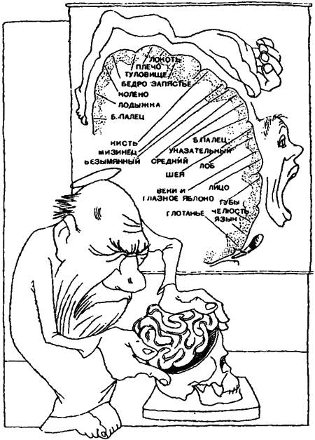 Занимательная биология i_052.png
