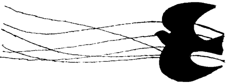 Занимательная биология i_069.png