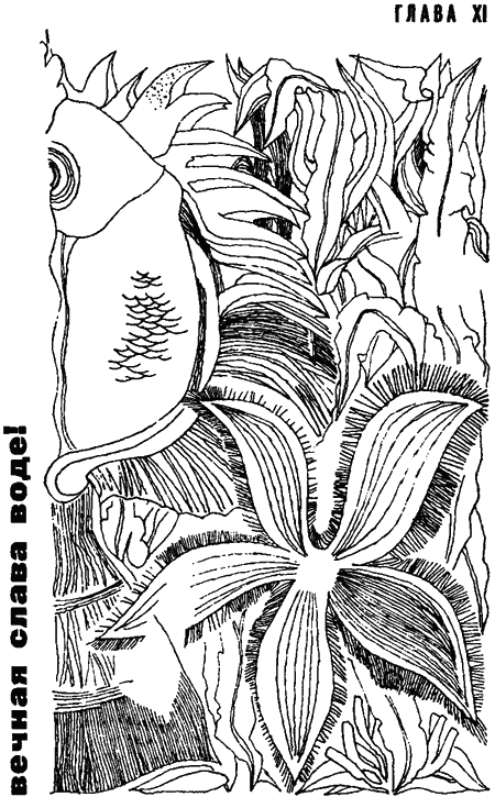 Занимательная биология i_081.png