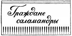 Война с саламандрами. Мать. Рассказы. Юморески i_033.jpg