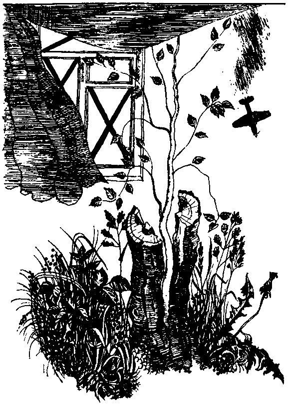 Печорный день (сборник) (с илл.) pic_1.png