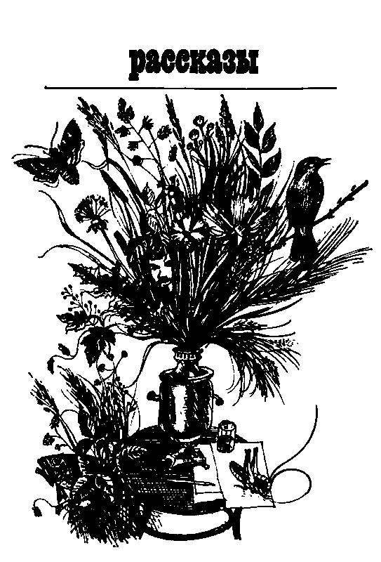Печорный день (сборник) (с илл.) pic_3.png