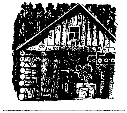 Печорный день (сборник) (с илл.) pic_4.png