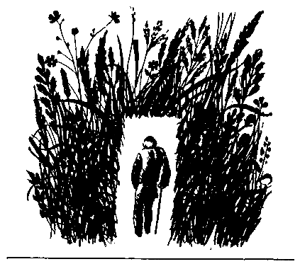 Печорный день (сборник) (с илл.) pic_15.png