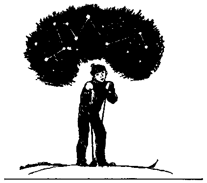 Печорный день (сборник) (с илл.) pic_16.png