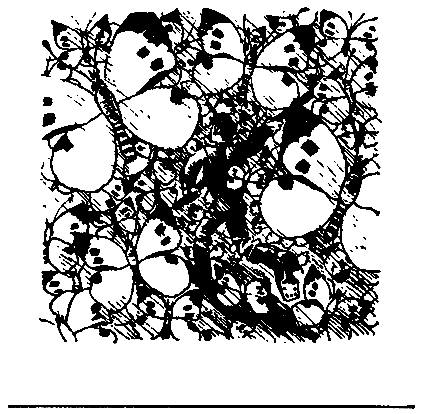 Печорный день (сборник) (с илл.) pic_17.png
