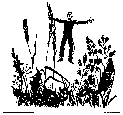 Печорный день (сборник) (с илл.) pic_12.png