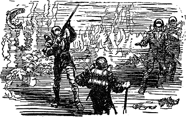 Двадцать тысяч лье под водой i_021.png
