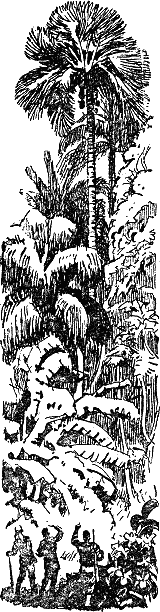 Двадцать тысяч лье под водой i_025.png