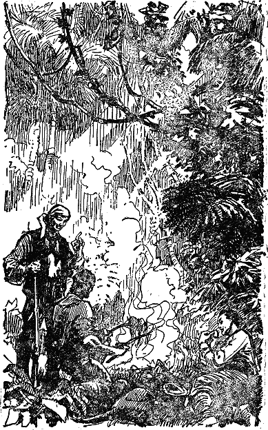 Двадцать тысяч лье под водой i_028.png